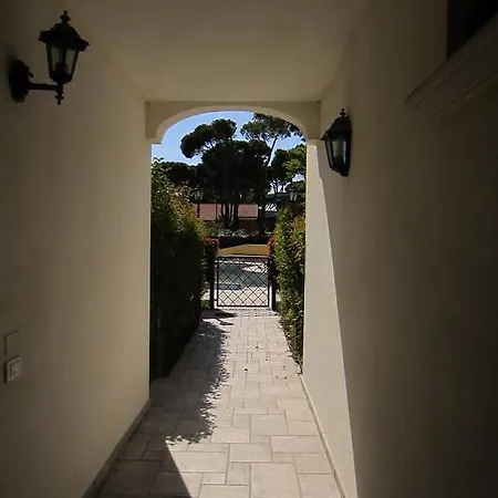Aceri Rossi * Lido di Jesolo